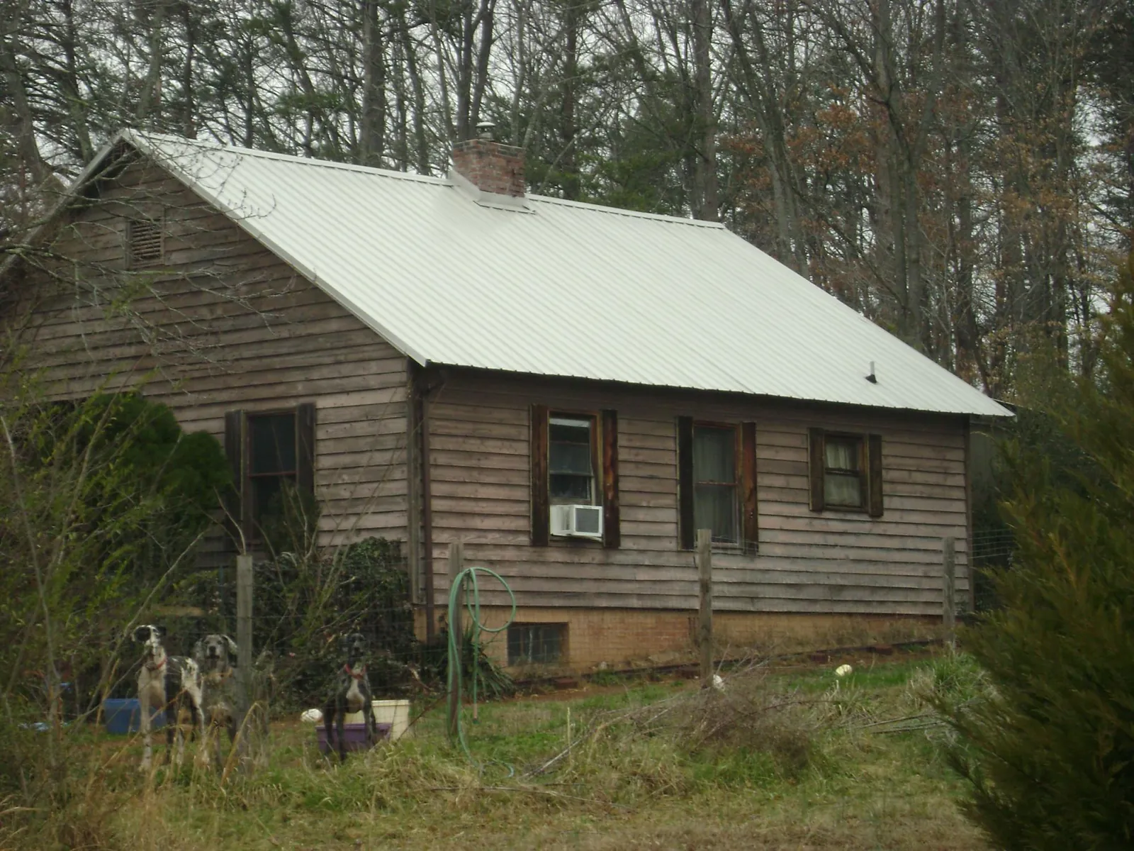 White metal roof on an old wood sided farmhouse, from a Asphalt Shingle Roof Repair job in Adams
